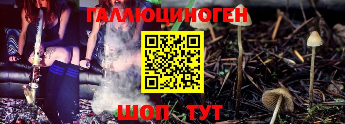Галлюциногенные грибы Magic Shrooms  купить наркоту  Вход с VPN  Борзя  Галлюциногенные грибы ЛСД 